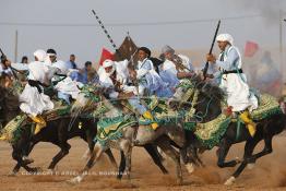 Image du Maroc Professionnelle de  Course typiquement marocaine dite ''la Fantasia'' organisé dans un site désertique sur lequel la ville de Tan Tan a toujours accueilli la majorité des tribus et des grandes familles nomades du désert lors d'un grand Moussem, Samedi 7 Septembre 2013. Le festival parrainé par l'UNESCO rassemble des milliers de nomades du Maroc. (Photo / Abdeljalil Bounhar) 